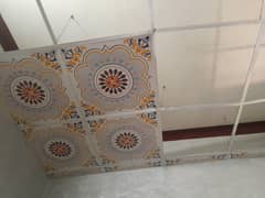 30+ Ceiling Sheet