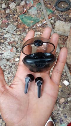 Earbuds