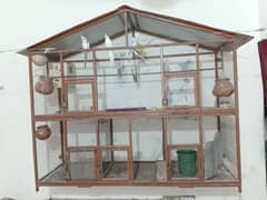 parrot cage