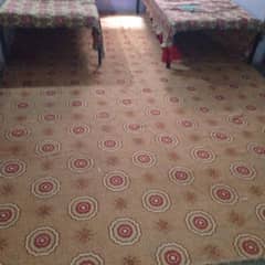 carpet 160inch*102 inch