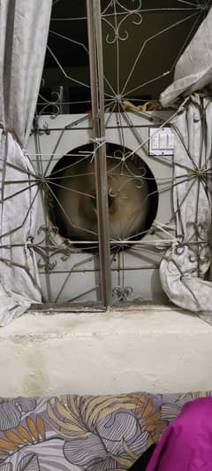 Ac Fan Cooler