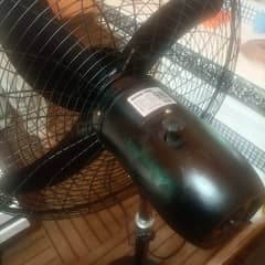 Royal fan 2 month use