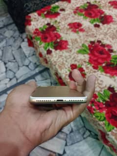 Apple iPhone 7 Plus