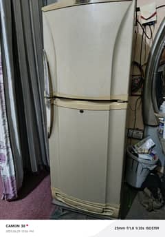 PEL Refrigerator/Fridge