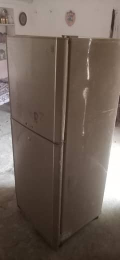 PEL