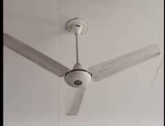 3 selling fans and 1 padester fan