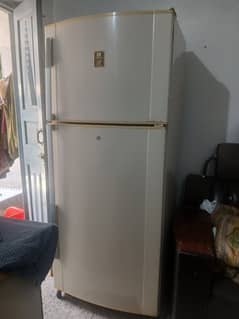 DAWLANCE 03009023307