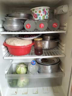 pel fridge