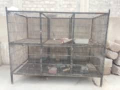 Birds Pinjra for sale