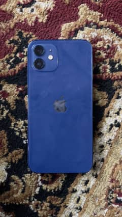 iPhone 12