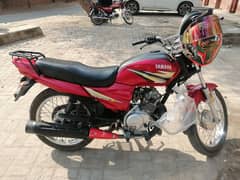 Yamaha ybr 125z