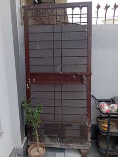 Iron