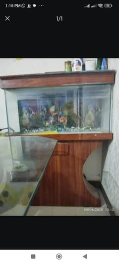 Aquarium for sale