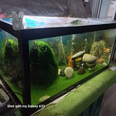 Aquarium