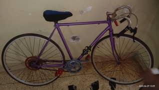 sport cycle