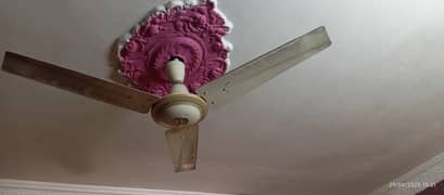 3 fans for sale