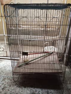 3 pinjra for sale