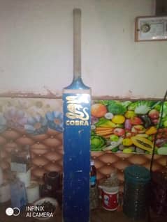 Bat