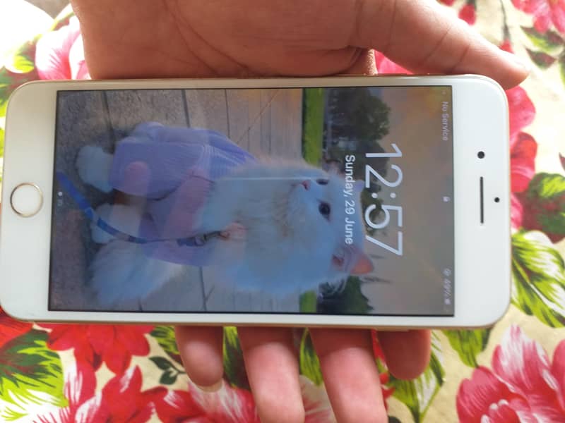 iPhone 7plus Bypass Non pta 1
