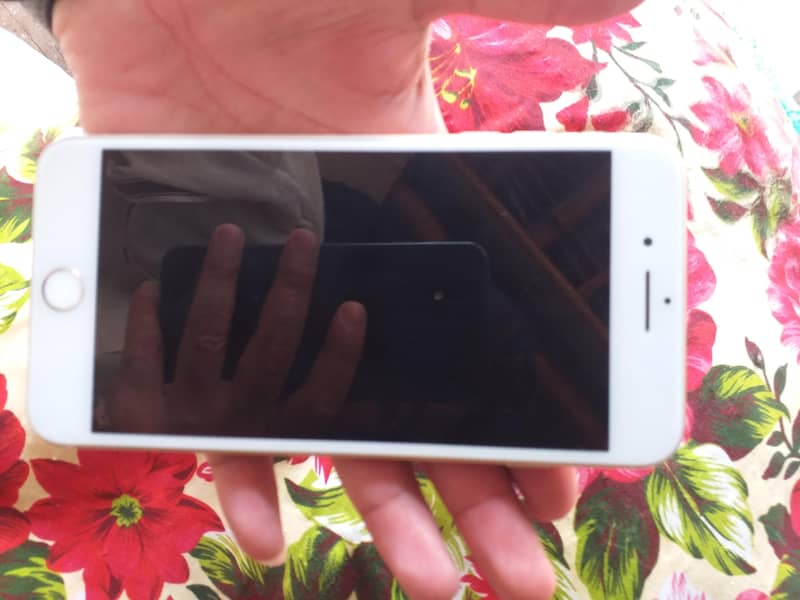 iPhone 7plus Bypass Non pta 2
