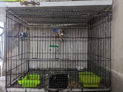 parrot cage 1.5 by 2 with love birds breedr pair ikhty sale krny han