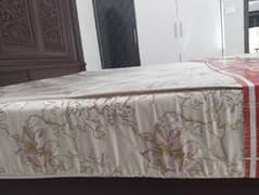 Molty Foam SLEEP WELL Mattress 8 Inches
