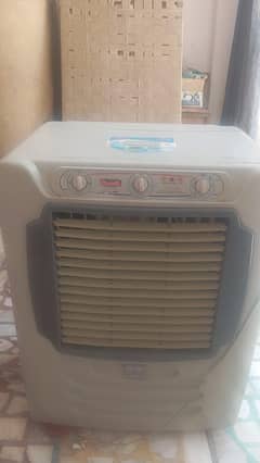 220V