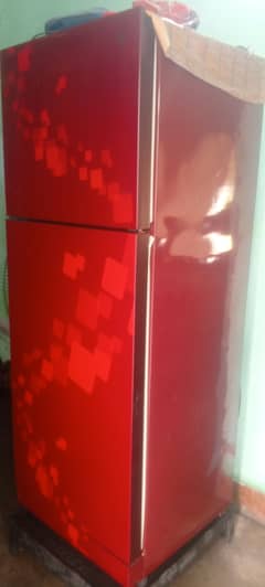Pel Fridge larg size