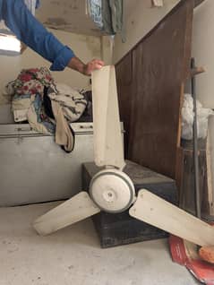 Ceiling Fan