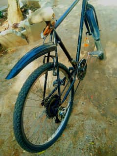 cycle