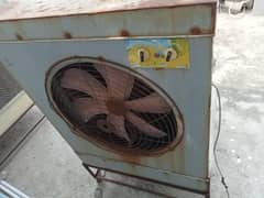 lahori cooler