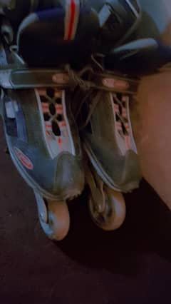 skates 