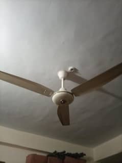 fan for sale