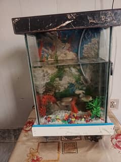 AQUARIUM