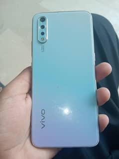 vivo