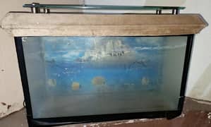 fish aquarium for sale