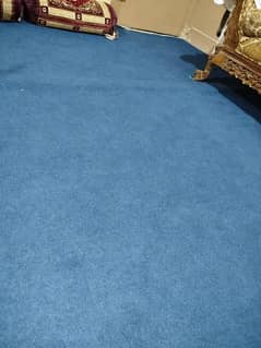 Home used Carpet