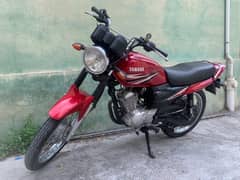 Yamaha YB 125Z – Excellent Condition | 2019 Model |Brand New