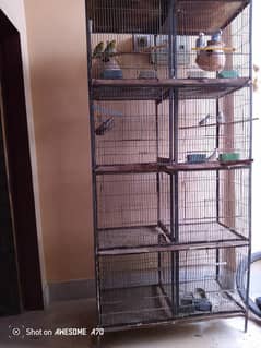 sale cage