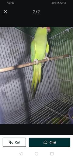 she is very ugly 