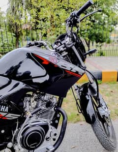 yamaha ybr 125  Black