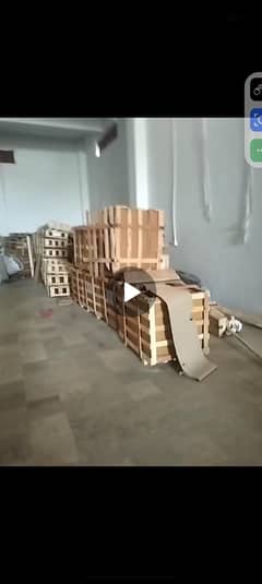 wood peti