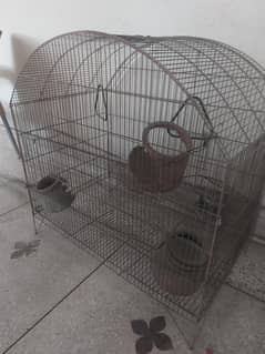 Parrot Cage