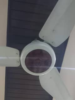 Ceiling