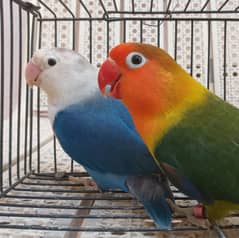 Love