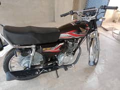 Honda 125 2024 model