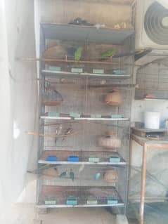 urgent sale cage for birds