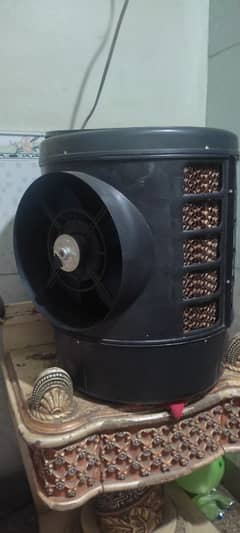 12v