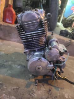 tiger boxer 250cc