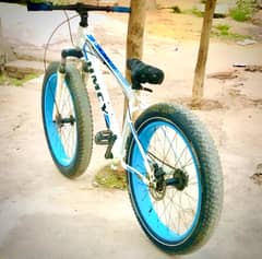 Sports Cycle